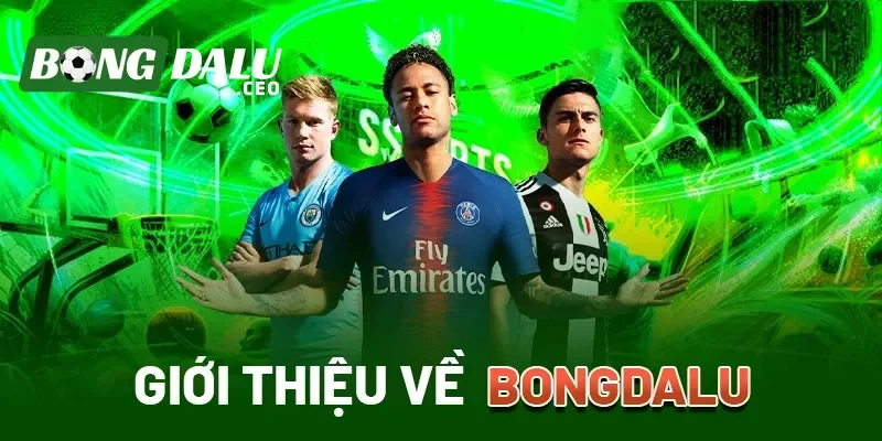 Thông tin về trang chủ Bongdalu