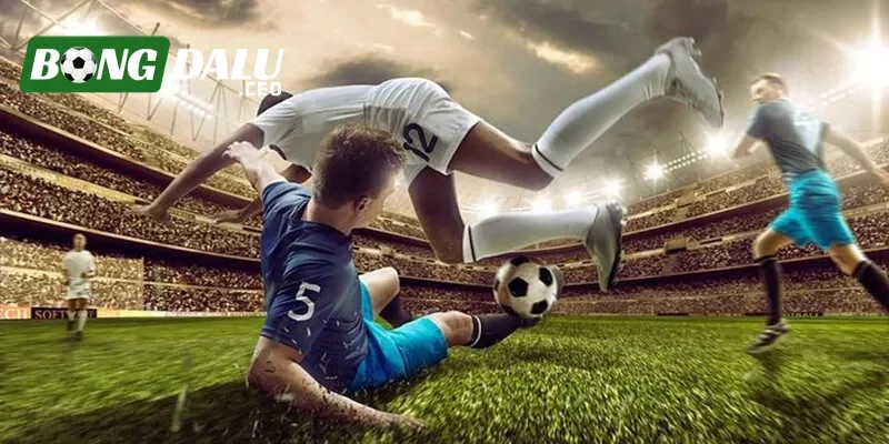 Các nguyên tắc cộng đồng tại trang chủ