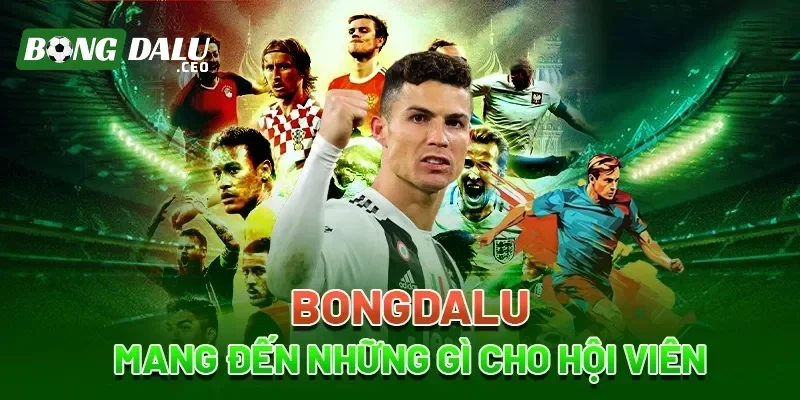 Các điều khoản cần lưu ý khi trải nghiệm