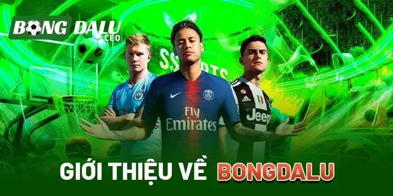Trang tin Bongdalu cực hấp dẫn