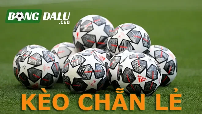 Hiểu rõ về kèo cược chẵn lẻ