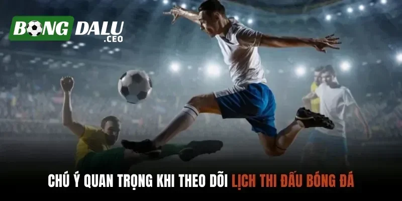 Các tính năng hỗ trợ tra cứu lịch thi đấu