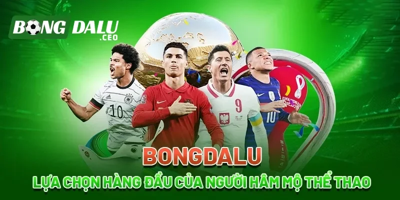 Top 1 uy tín về cung cấp dịch vụ