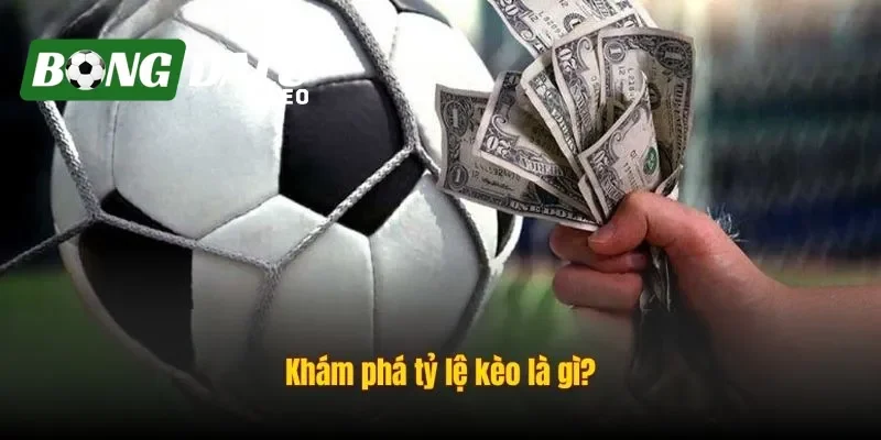 Thông tin về tỷ lệ kèo cược